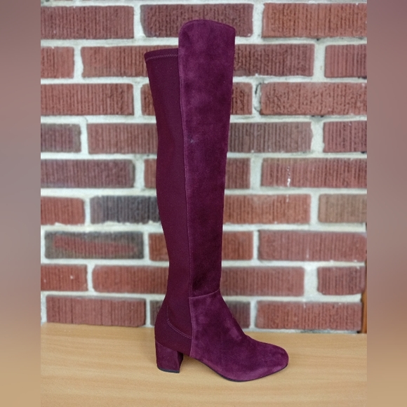 NWT Stuart Weitzman 'Gillian' Knee High Genuine Suede Heeled Boots in Burgundy - Picture 6 of 14